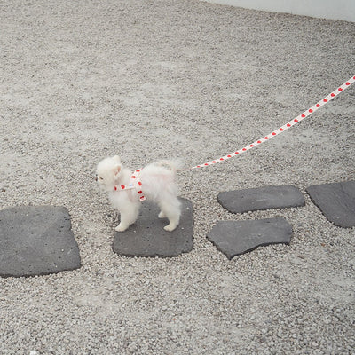 【即納】heart bongbong harness