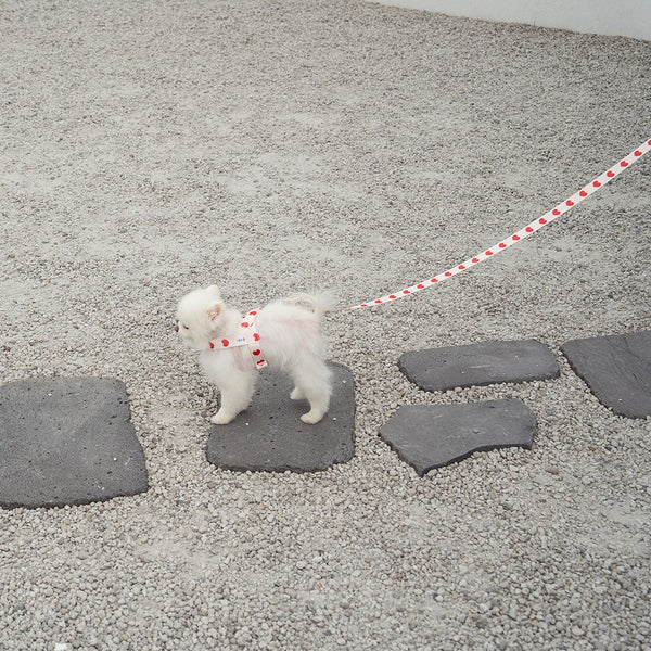【即納】heart bongbong harness