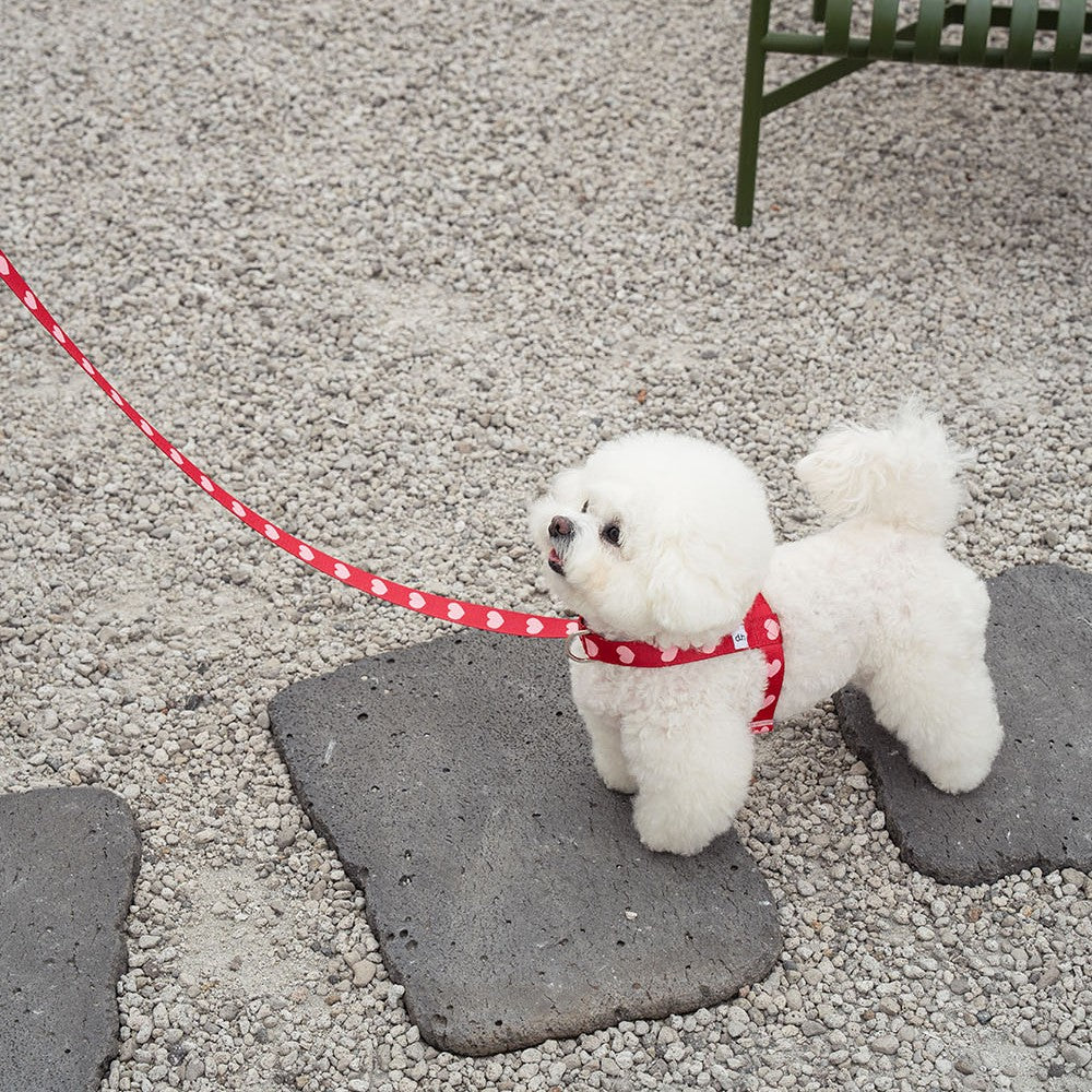 【即納】heart bongbong harness