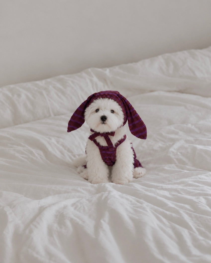 【予約】STRIPE BUNNY HAT ALL IN ONE