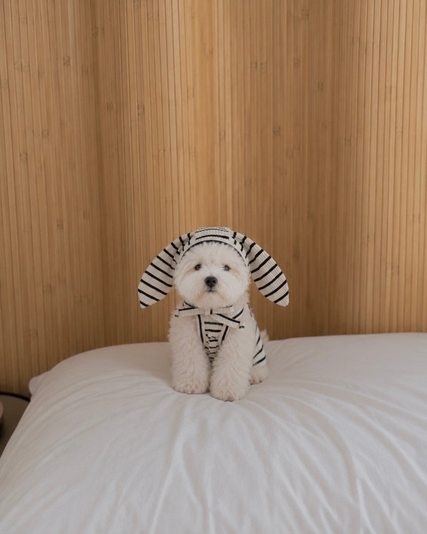 【予約】STRIPE BUNNY HAT ALL IN ONE