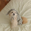 【予約】STRIPE BUNNY HAT ALL IN ONE