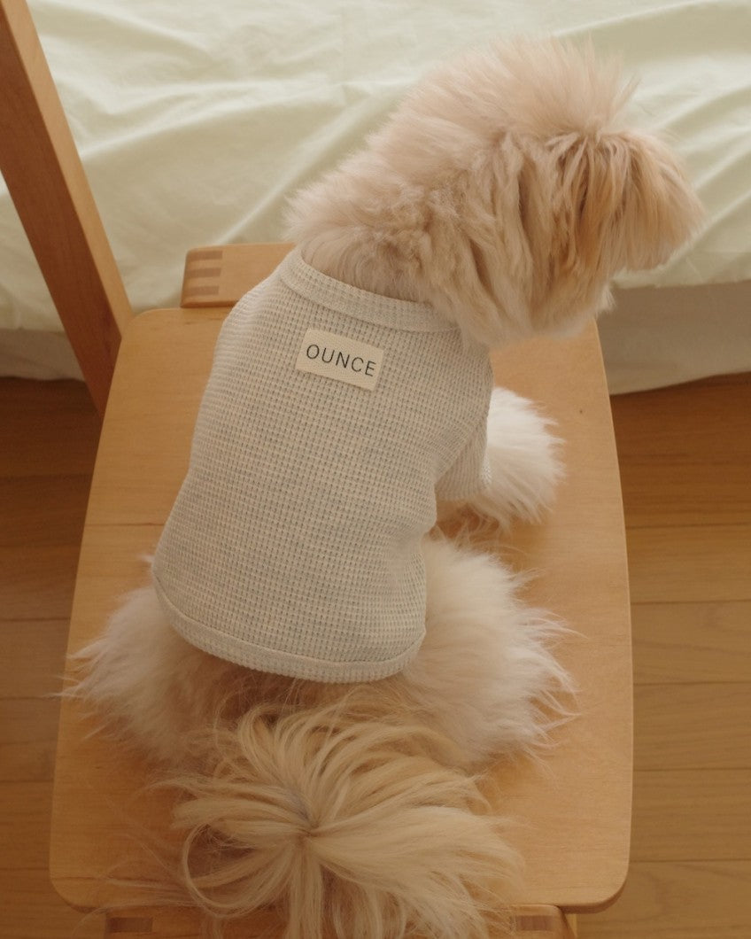 【予約】Waffle T shirts