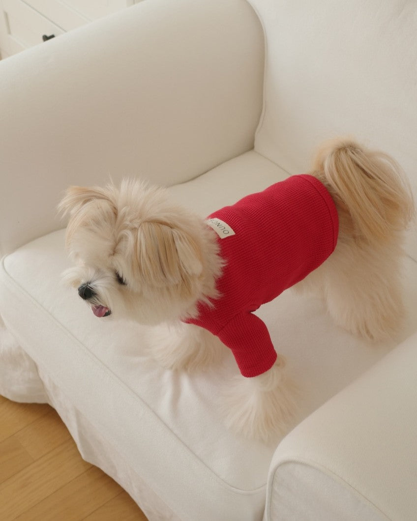 【予約】Waffle T shirts