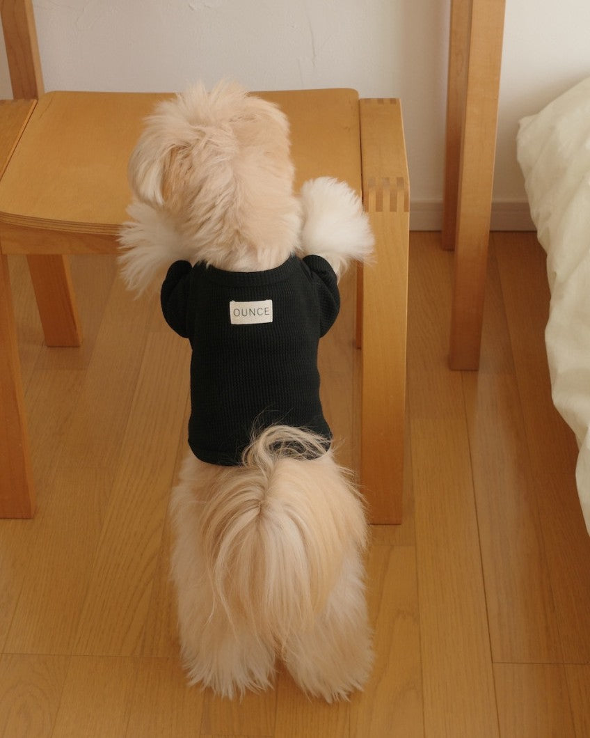 【予約】Waffle T shirts