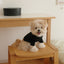 【予約】Waffle T shirts