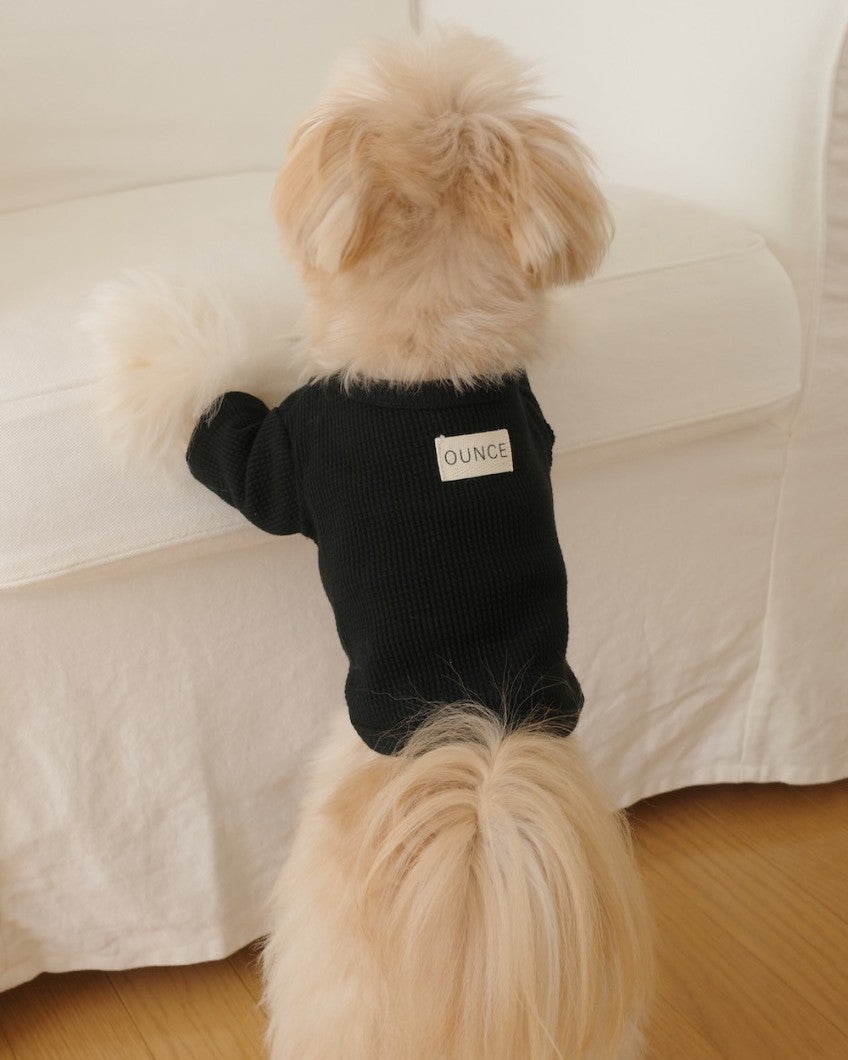 【予約】Waffle T shirts
