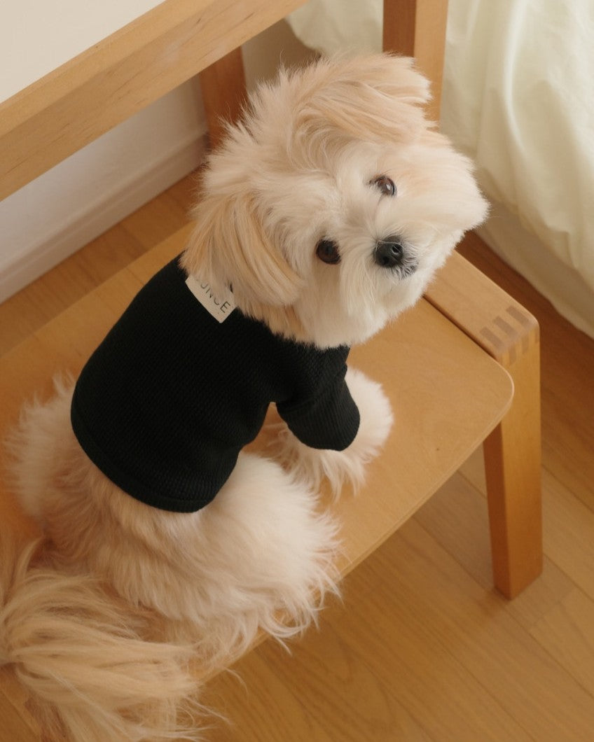 【予約】Waffle T shirts
