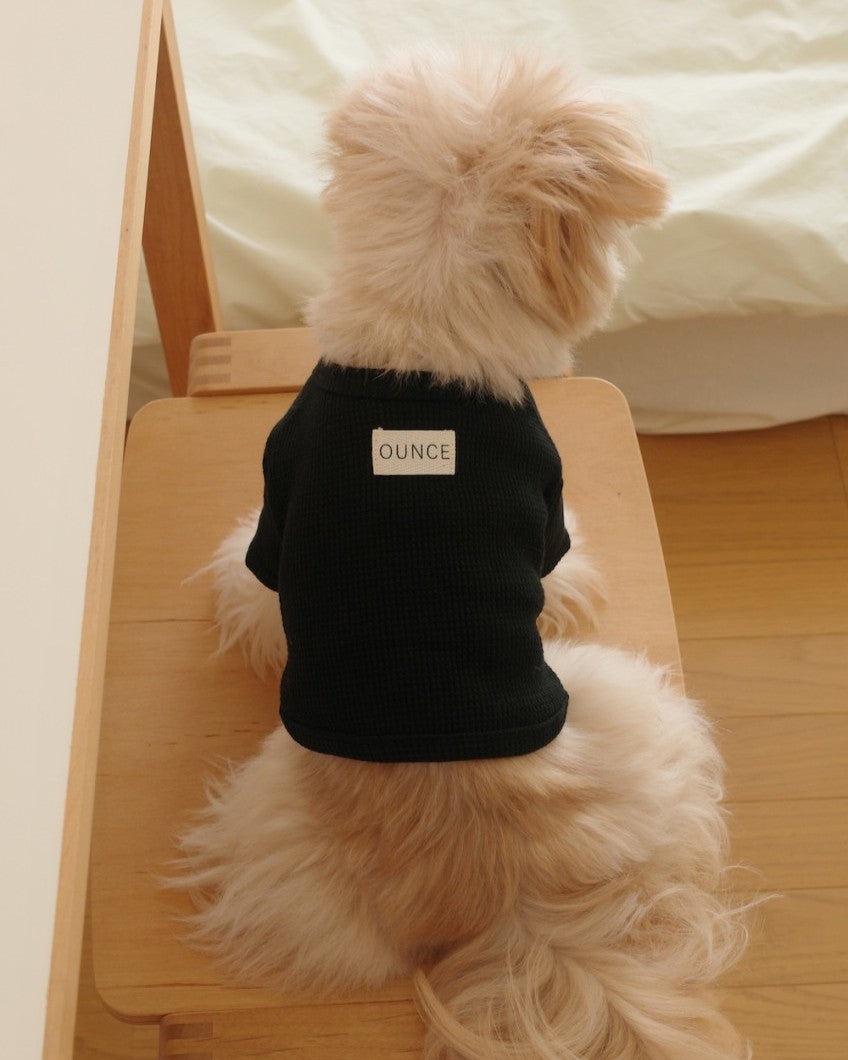 【予約】Waffle T shirts