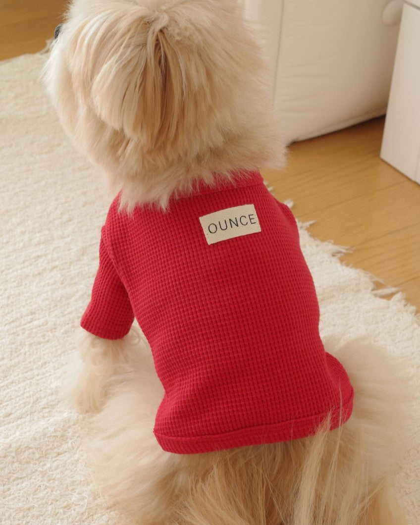 【予約】Waffle T shirts