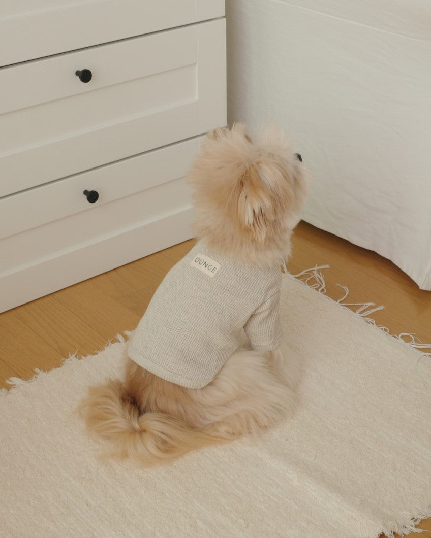 【予約】Waffle T shirts