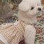 【一部即納】Organic Dorothy Dress