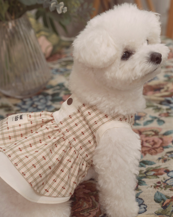【一部即納】Organic Dorothy Dress