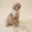 【予約】Organic Harness（ネーム刺繍可）