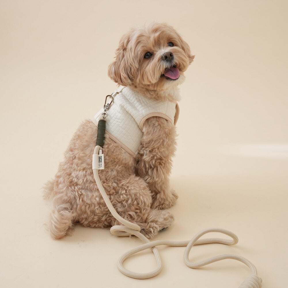 【予約】Organic Harness（ネーム刺繍可）