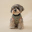 【予約】Organic Latte Padded Vest