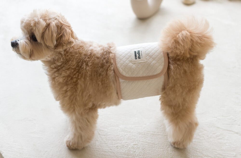 【即納】Organic Manner Belt
