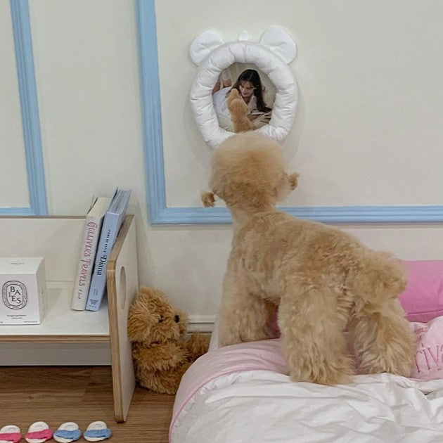 【一部即納】teddy cushion frame（アクリルミラー別売り）