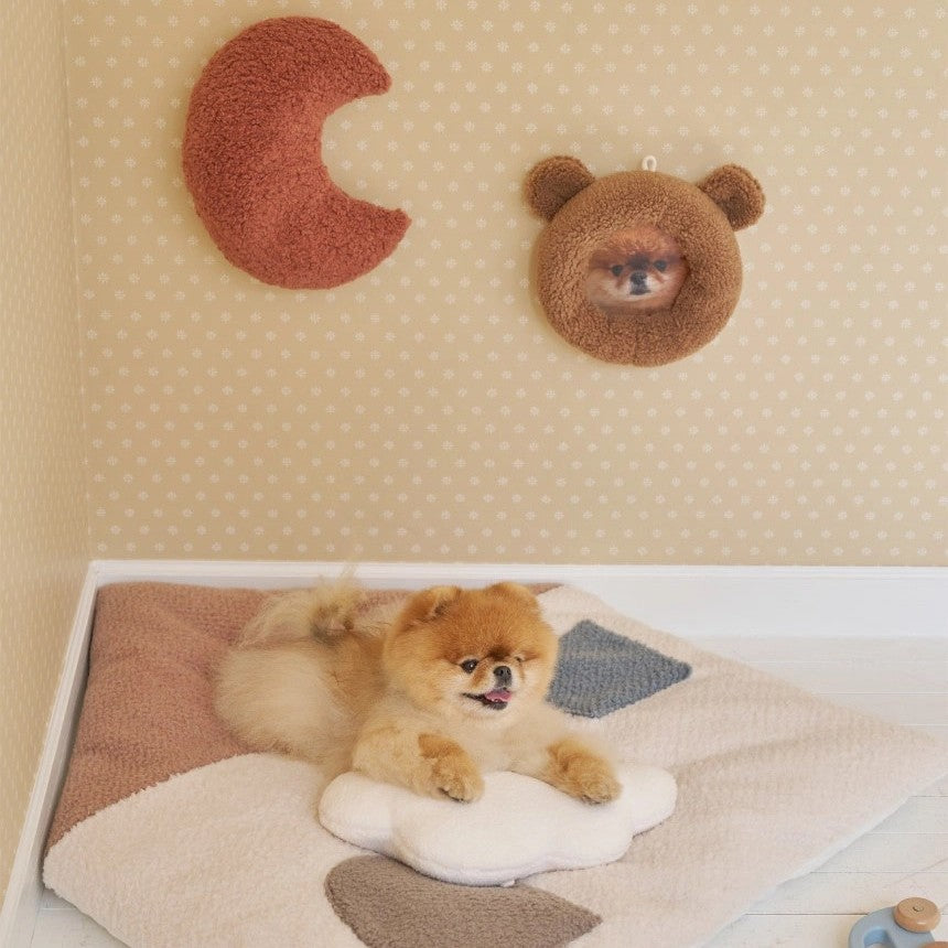 【予約】teddy snow frame（アクリルミラー別売り）