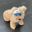 【予約】humanwalker ballcap  (DOG)