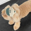 【予約】humanwalker ballcap  (DOG)