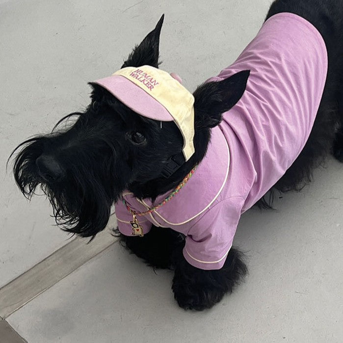 【予約】humanwalker ballcap  (DOG)