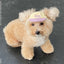 【予約】humanwalker ballcap  (DOG)