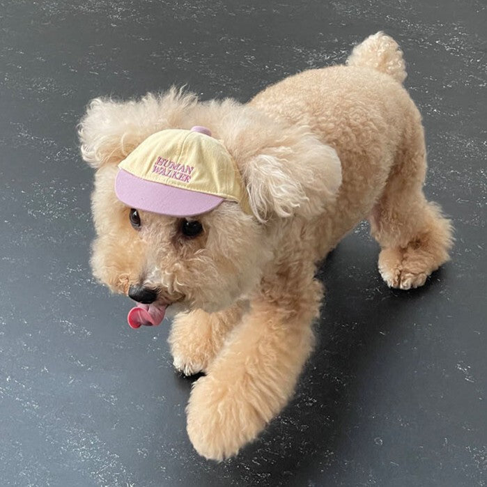 【予約】humanwalker ballcap  (DOG)