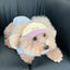 【予約】humanwalker ballcap  (DOG)