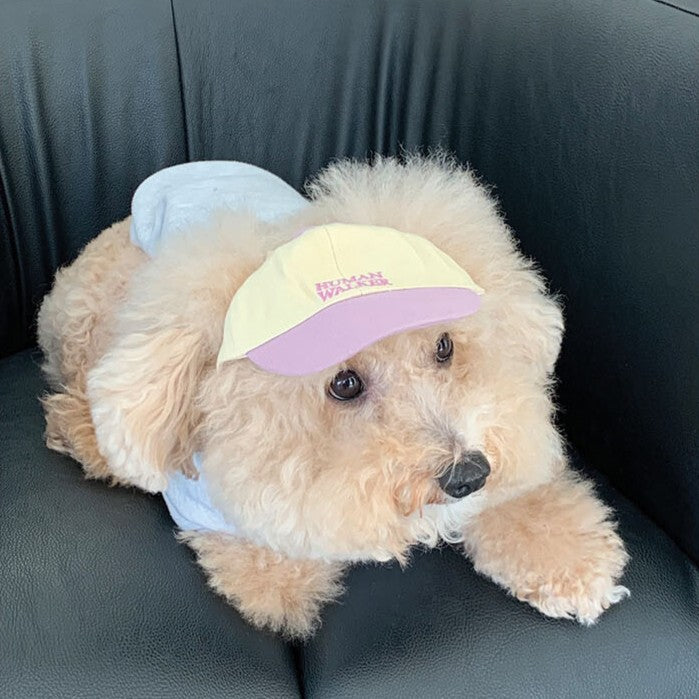 【予約】humanwalker ballcap  (DOG)