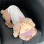 【予約】humanwalker ballcap  (DOG)