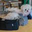 【受注生産】10th cozy check needbag｜犬用キャリーバッグ・スリングバッグ