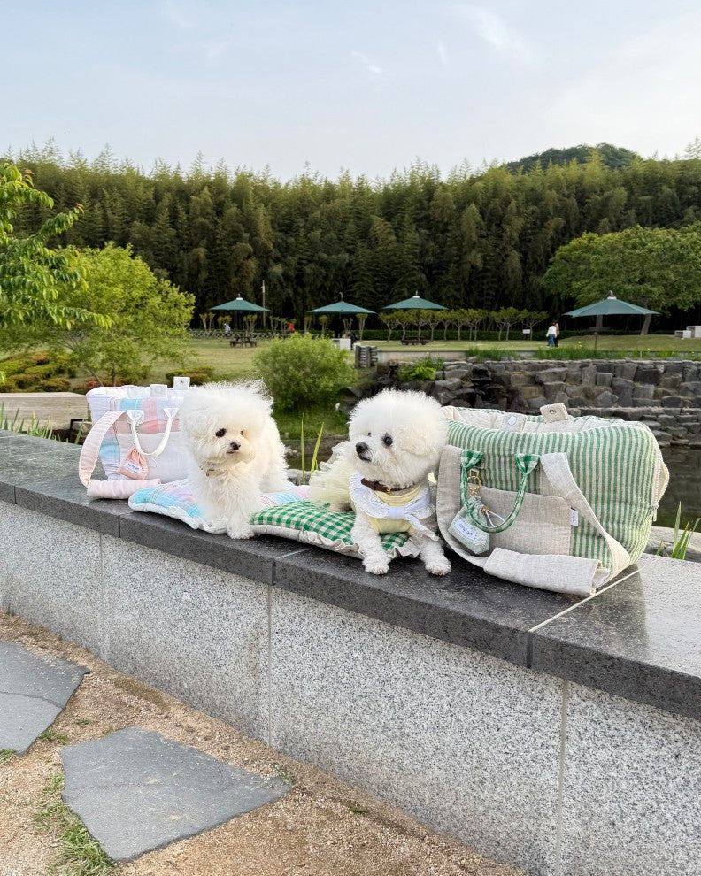 【受注生産】12th linen rorobag｜犬用キャリーバッグ