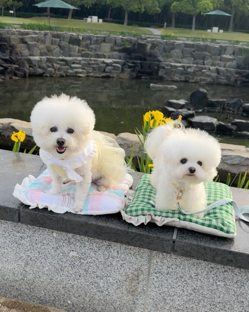 【受注生産】12th linen rorobag｜犬用キャリーバッグ
