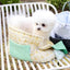 【受注生産】13th sky weave & yellow breeze needbag｜犬用キャリーバッグ・スリングバッグ