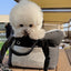 【受注生産】Cotton rorobag (Black)｜犬用キャリーバッグ
