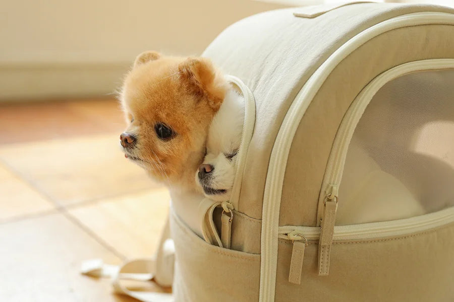 【予約】ソフトカーブ バックパック｜犬用キャリーバッグ