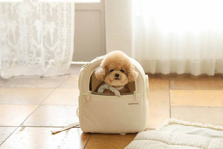 【予約】ソフトカーブ バックパック｜犬用キャリーバッグ