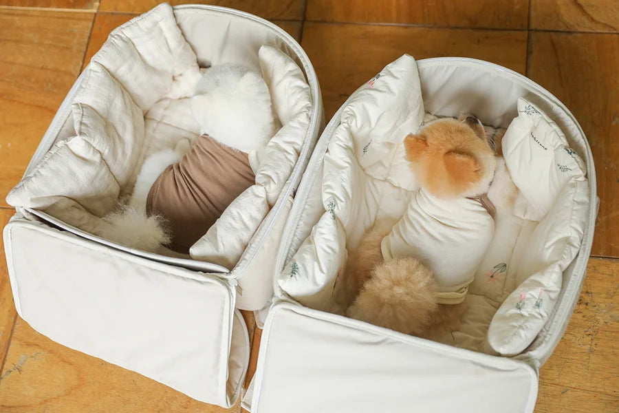 【予約】ソフトカーブ バックパック｜犬用キャリーバッグ