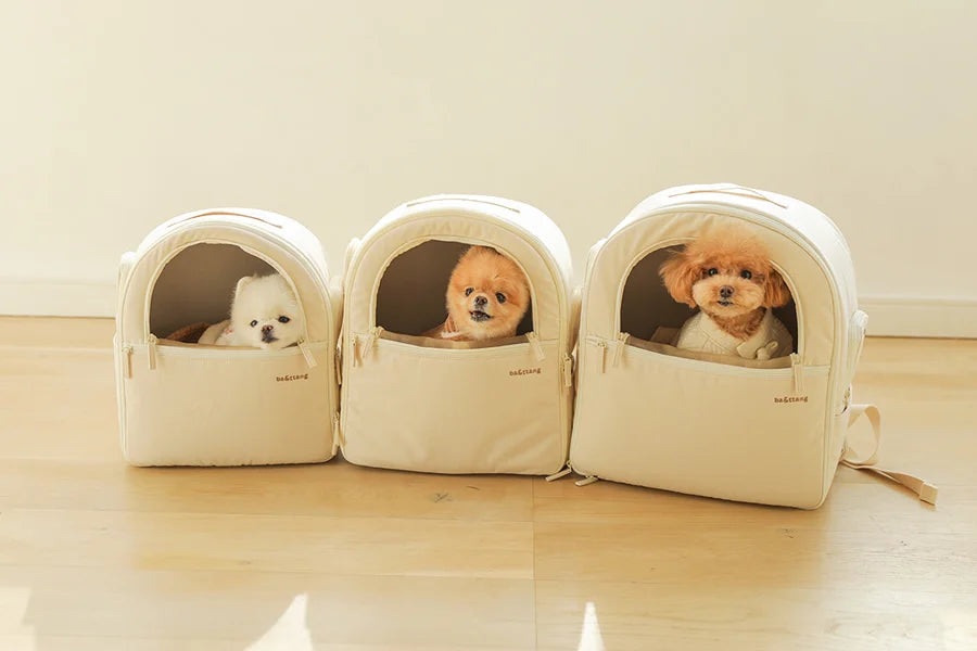【予約】ソフトカーブ バックパック｜犬用キャリーバッグ
