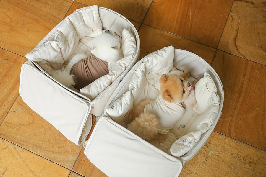 【予約】ソフトカーブ バックパック｜犬用キャリーバッグ