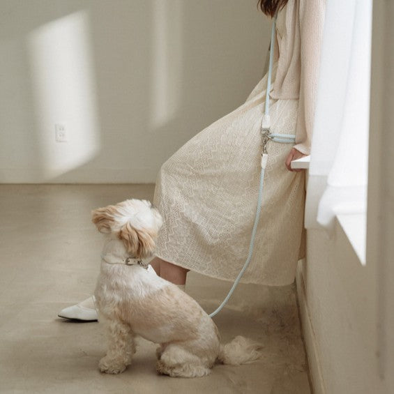 【一部即納】Multi leash - Main（※単品利用不可）