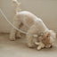 【一部即納】Multi leash - Main（※単品利用不可）