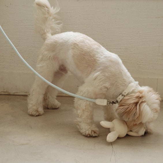 【一部即納】Multi leash - Main（※単品利用不可）