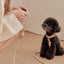 【予約】Rope collar（ベージュ）