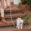 【予約】Rope collar（ベージュ）