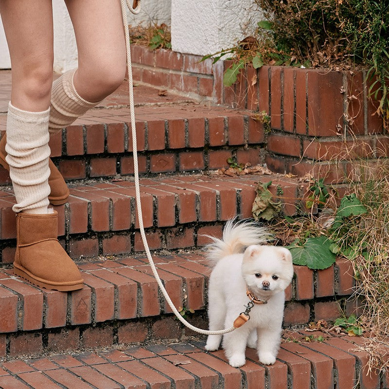 【予約】Rope collar（ベージュ）