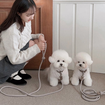 【予約】Rope leash classic - 1.8m（アッシュグレー）