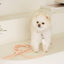 【予約】Rope leash classic - 1.8m（コーラル）