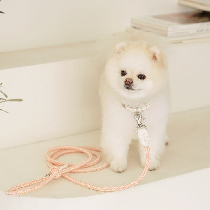 【予約】Rope leash classic - 1.8m（コーラル）